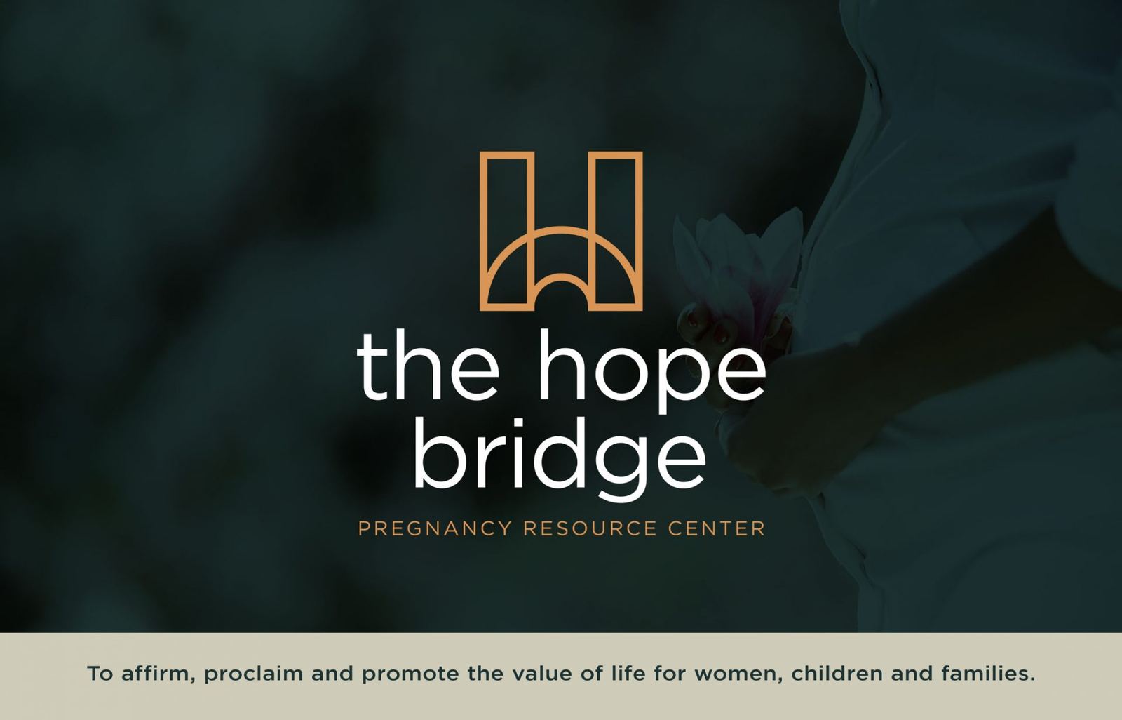 The Hope Bridge cover